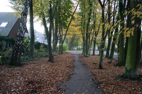 weiden