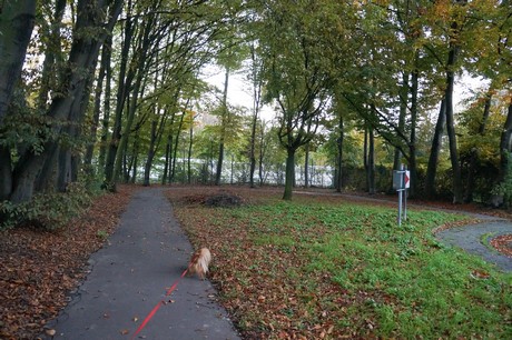 weiden