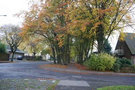 weiden