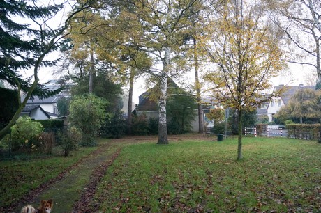 weiden