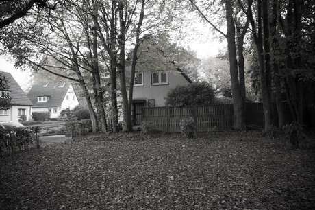 weiden