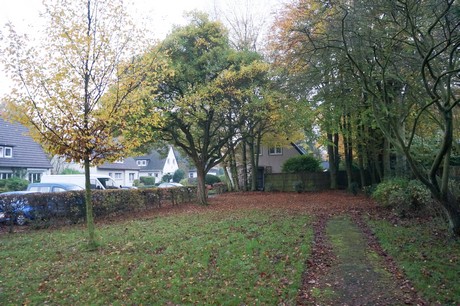 weiden
