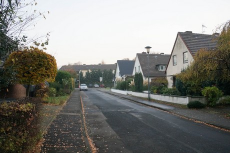 weiden
