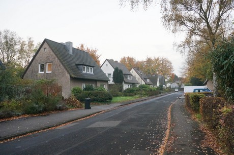 weiden