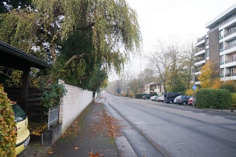 weiden