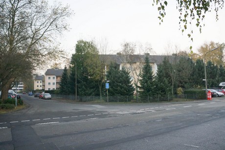 weiden