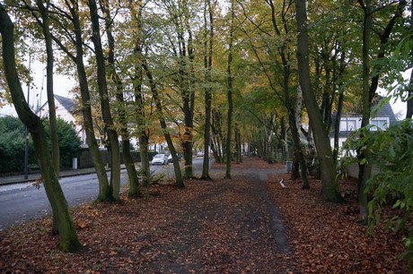 weiden