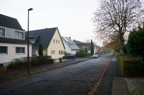 weiden