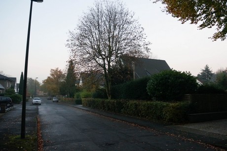 weiden