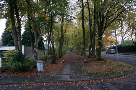 weiden