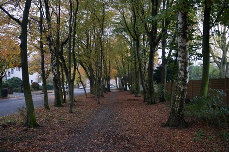 weiden