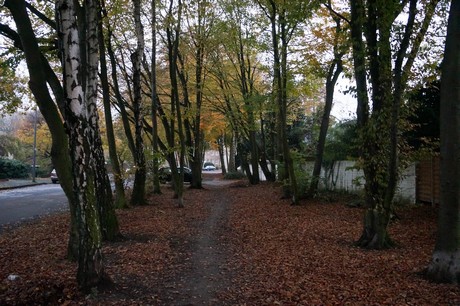weiden
