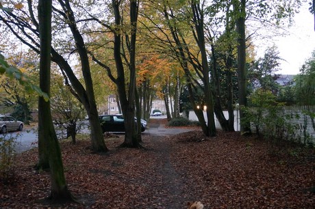 weiden