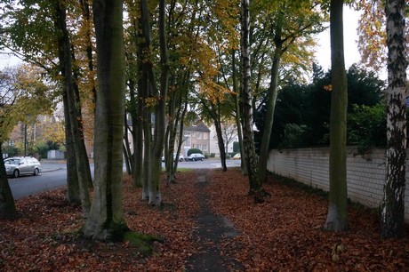 weiden