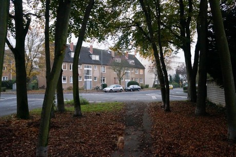 weiden