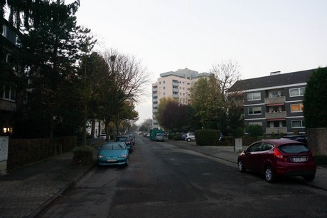 weiden
