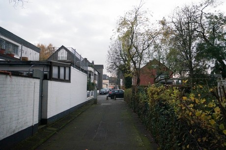 weiden