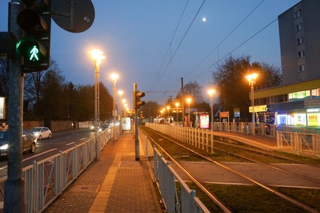weiden