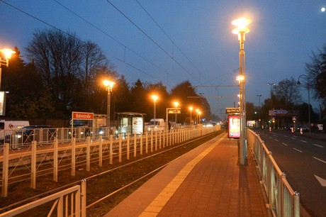 weiden