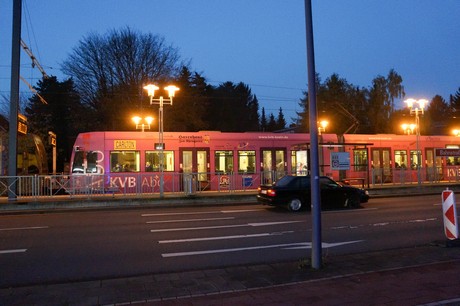 weiden
