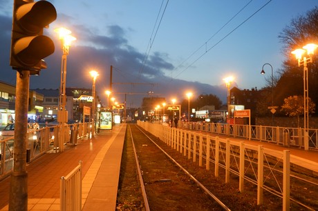 weiden