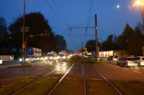 weiden