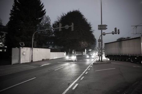 weiden