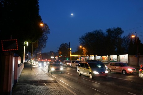 weiden