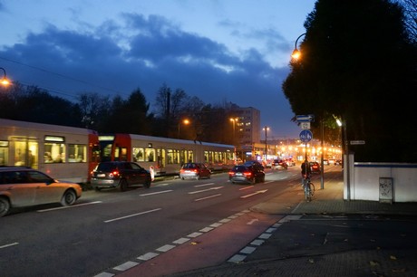 weiden