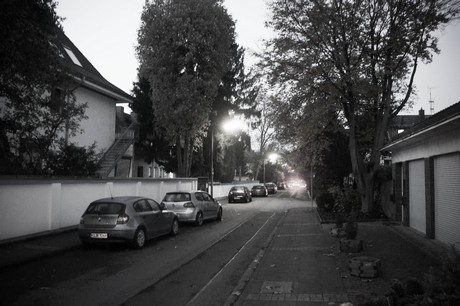 weiden