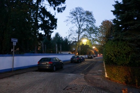 weiden