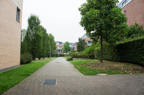 weiden