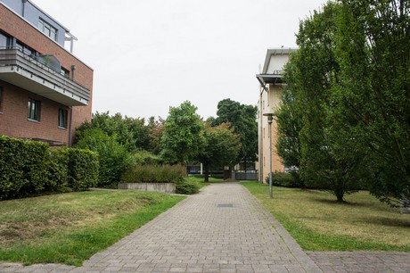 weiden