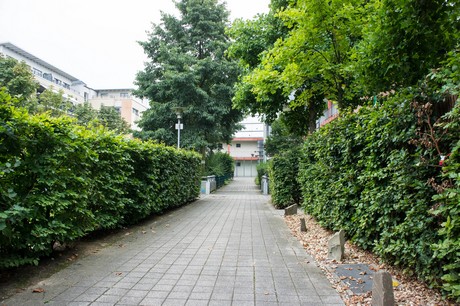 weiden