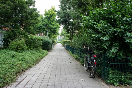 weiden