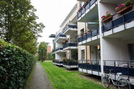 weiden