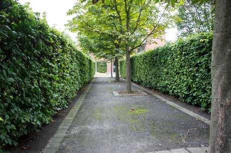 weiden