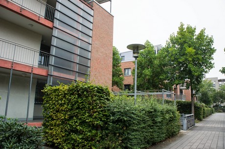 weiden