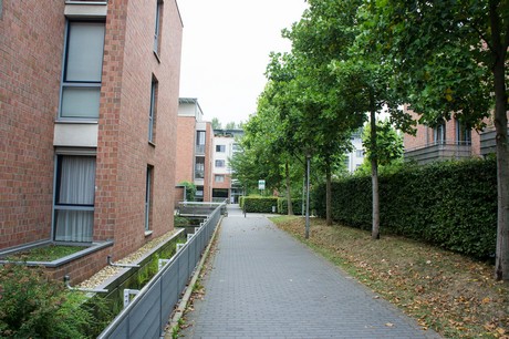 weiden