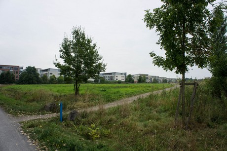 weiden
