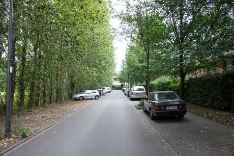 weiden