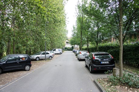 weiden