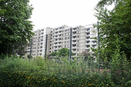 weiden