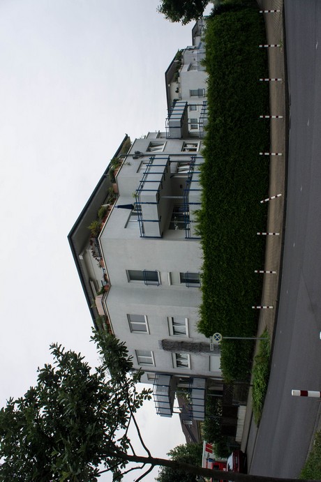 weiden