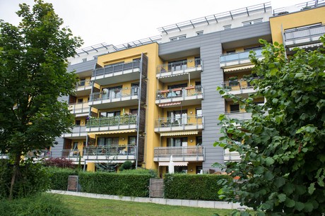 weiden