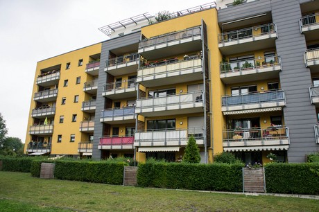 weiden