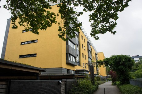 weiden