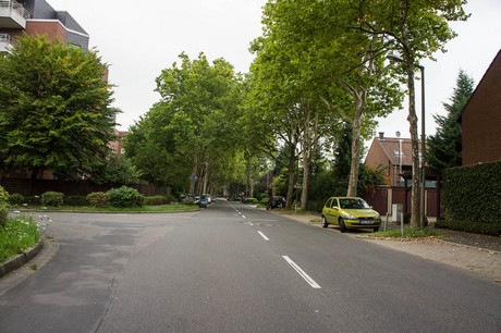 weiden