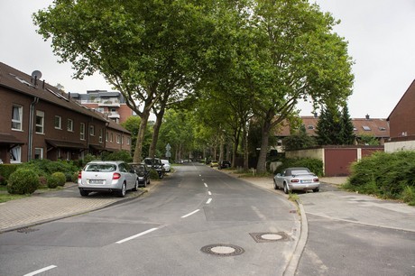 weiden