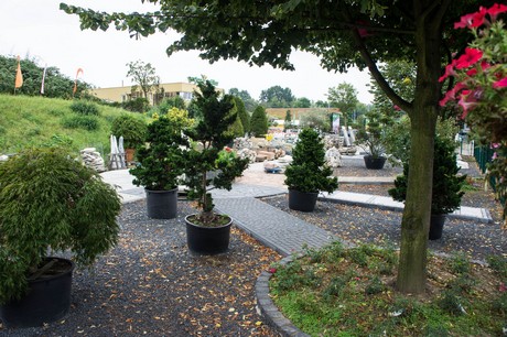 weiden
